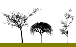 tress